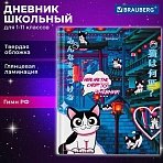 Дневник 1-11 класс 40 л., твердый, BRAUBERG, глянцевая ламинация, «Anime Cats»