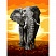 превью Картина по номерам на холсте ТРИ СОВЫ «Слон», 30×40, с акриловыми красками и кистями