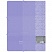 превью Папка на резинке Berlingo «Starlight S» А4, 600мкм, фиолетовая, с рисунком