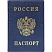 превью Обложка для паспорта ДПС из ПВХ синего цвета (2203.В-101)