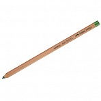 Пастельный карандаш Faber-Castell «Pitt Pastel» цвет 267 хвойный
