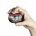 превью Фонарь светодиодный Energizer HLVision HD+Focus 3x