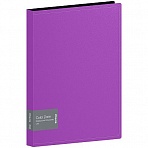 Папка со 100 вкладышами Berlingo «Color Zone», 30мм, 1000мкм, фиолетовая