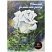 превью Планшет для акварели 20л. А4 Лилия Холдинг «Белая роза», 260г/м2, «Лен», палевая бумага