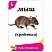превью Настольная игра «Мемономика» Magellan