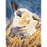 превью Картина по номерам на холсте ТРИ СОВЫ «Кролик», 30×40, с акриловыми красками и кистями