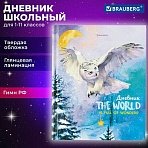 Дневник 1-11 класс 40 л., твердый, BRAUBERG, глянцевая ламинация, «Сова»