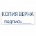 превью Штамп стандартный «КОПИЯ ВЕРНА, подпись», оттиск 38×14 мм, синий, TRODAT 4911P4-3.42