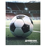 Дневник 1-4 класс 48 л., твердый, ЮНЛАНДИЯ, глянцевая ламинация, с подсказом, «Футбол»