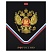 превью Тетрадь А5 48 л., HATBER, скоба, клетка, матовая ламинация, 3D-фольга, 3D-лак, Россия (микс), 093210