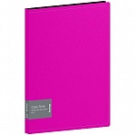 Папка с 60 вкладышами Berlingo «Color Zone», 21мм, 1000мкм, розовая