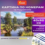 Картина по номерам 40×50 см, ОСТРОВ СОКРОВИЩ «Проточная река», на подрамнике, акрил, кисти