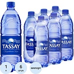 Вода питьевая TASSAY миниральная газ ПЭТ 1л
