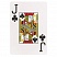 превью Карты игральные пластиковые «Poker club», 54 шт., 8.7×6.3 см, 25 мкм, ИН-9121