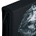 превью Пенал BRAUBERG, 1 отделение, полиэстер, 21×14 см, «Gray wolf»