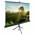 Экран Cactus TriExpert CS-PSTE-200×200-BK, 200×200 см, 1:1, напольный, черный