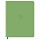 Дневник 1-11 кл. 48л. (твердый) BG «Monocolor. Green», иск. кожа, блинтовое тиснение, ляссе