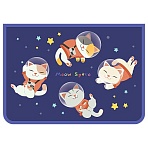 Папка для труда 2 отделения, А4, ArtSpace «Space cat», пластик, на молнии