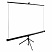 превью Экран Cactus TriExpert CS-PSTE-200×200-BK, 200×200 см, 1:1, напольный, черный