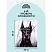 превью Картина по номерам на холсте ТРИ СОВЫ «Доберман», 40×50, с акриловыми красками и кистями