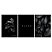 превью Тетрадь 96л., А4, клетка, на гребне BG «Just black», soft-touch ламинация, выб. лак