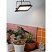 превью Фитосветильник прожектор для растений ЭРА FITO-100W-Ra90-LED (Б0047876)