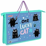 Папка на молнии с ручками ПИФАГОР А4, 1 отделение, пластик, ручки-шнурок, «Funny cats»