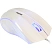 превью Мышь Smartbuy ONE 338, USB, с подсветкой, белый, 2btn+Roll