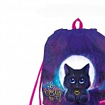 Мешок для обуви 1 отделение Berlingo «Jolly kitty», 400×480мм, расширяющееся дно, светоотражающая лента, карман на молнии