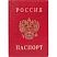 превью Обложка для паспорта ДПС из ПВХ красного цвета (2203.В-102)