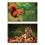 Альбом для рисования 40л., А4, на гребне BG «Wild nature»