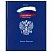 превью Дневник 1-11 класс 40 л., твердый, BRAUBERG, глянцевая ламинация, «Россия»