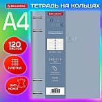Тетрадь на кольцах БОЛЬШАЯ А4 (240×310 мм), 120 л., под кожу, BRAUBERG VISTA, «Пастельная»