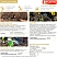 превью Удобрение для хвойных растений Bona Forte 5 кг