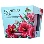 Набор для выращивания растений МАГИЯ ЦВЕТОВ «Суданская роза» (горшок, грунт, семена)