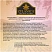 превью Чай зелёный Zylanica Ceylon Premium Collection 100 пакетиков