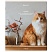 превью Тетради ДЭК А5 48 л. КОМПЛЕКТ 5 шт. BRAUBERGклеткаматовая ламинация«Cats»404673