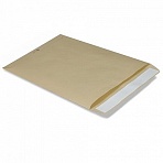 Конверт-пакет плоский, 250?353 мм, из крафт-бумаги с отрывной полосой, на 140 листов