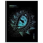 Дневник 1-11 кл. 40л. (твердый) BG «Dragon's eye», матовая ламинация, тиснение фольгой