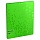 Папка с 60 вкладышами Berlingo «Neon», 24мм, 1000мкм, зеленый неон, с внутр. карманом