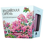 Набор для выращивания растений МАГИЯ ЦВЕТОВ «Индийская сирень» (горшок, грунт, семена)