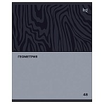 Тетрадь предметная 48л. BG «Single colour» - Геометрия, эконом