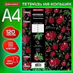 Тетрадь на кольцах БОЛЬШАЯ А4 (240×310 мм), 120 л., под кожу, BRAUBERG VISTA, «Гранаты»