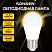 превью Лампа светодиодная SONNEN EXTRA, 10 (85) Вт, E27, шар, теплый белый, 30000 ч, LED G45-10W-2700-Е27