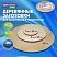 превью Заготовки для творчества деревянныекруглые5 шт. диаметр: 10-20-30 смBRAUBERG HOBBY665314