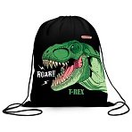 Мешок для обуви ПИФАГОР, 1 отделение, 42×34 см, «Dino roar»