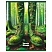превью Тетрадь 96л., А5, линия BG «Forest miracle», эконом