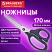 превью Ножницы BRAUBERG «BOMB», 170 мм, графитовый цвет, 2-сторонняя заточка, эргономичные