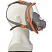 превью Маска полнолицевая панорамная Jeta Safety 5950 размер М категория 2