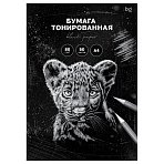 Бумага цветная тонированная, 50л., А4 BG, черная, для печати и эскизов, 80г/м2